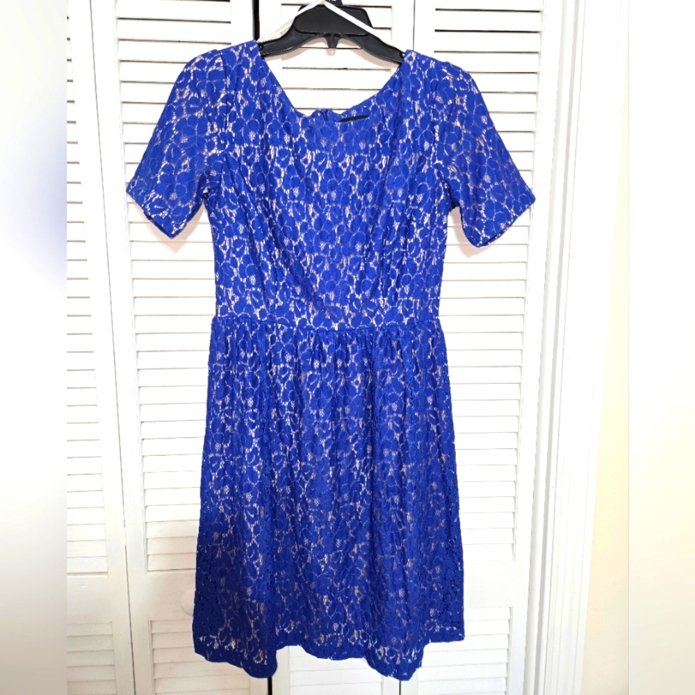 Enfocus Studio Women's 8 Fit & Flare Lace Dress